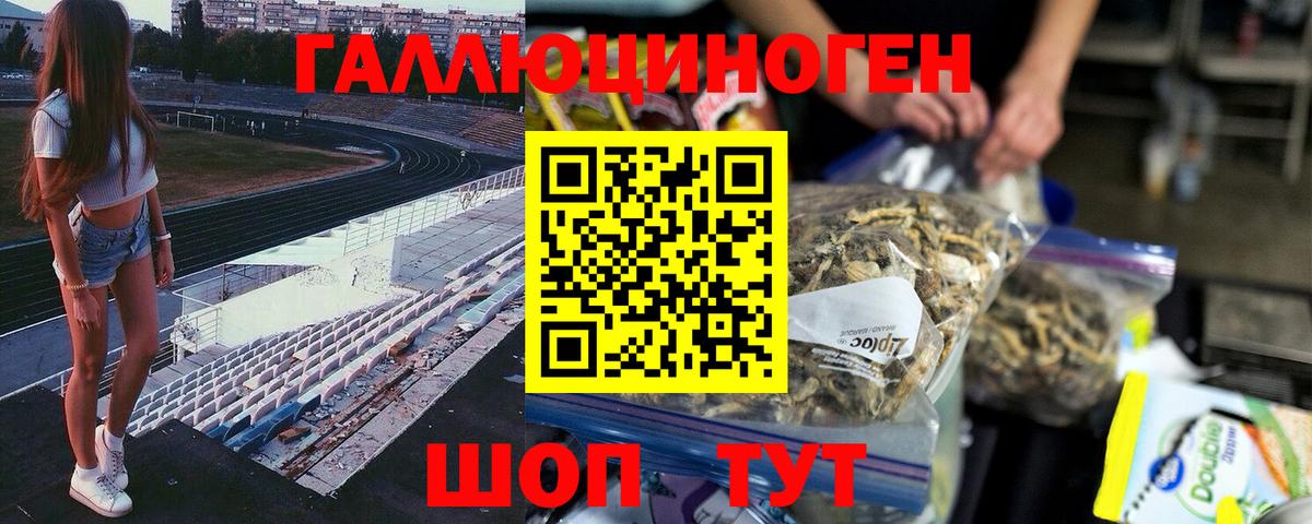 Псилоцибиновые грибы Psilocybe  Вход с VPN  Якутск  Псилоцибиновые грибы MAGIC MUSHROOMS 