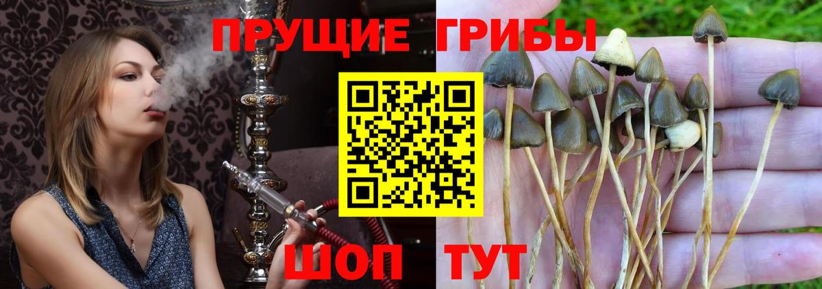 Псилоцибиновые грибы MAGIC MUSHROOMS Якутск